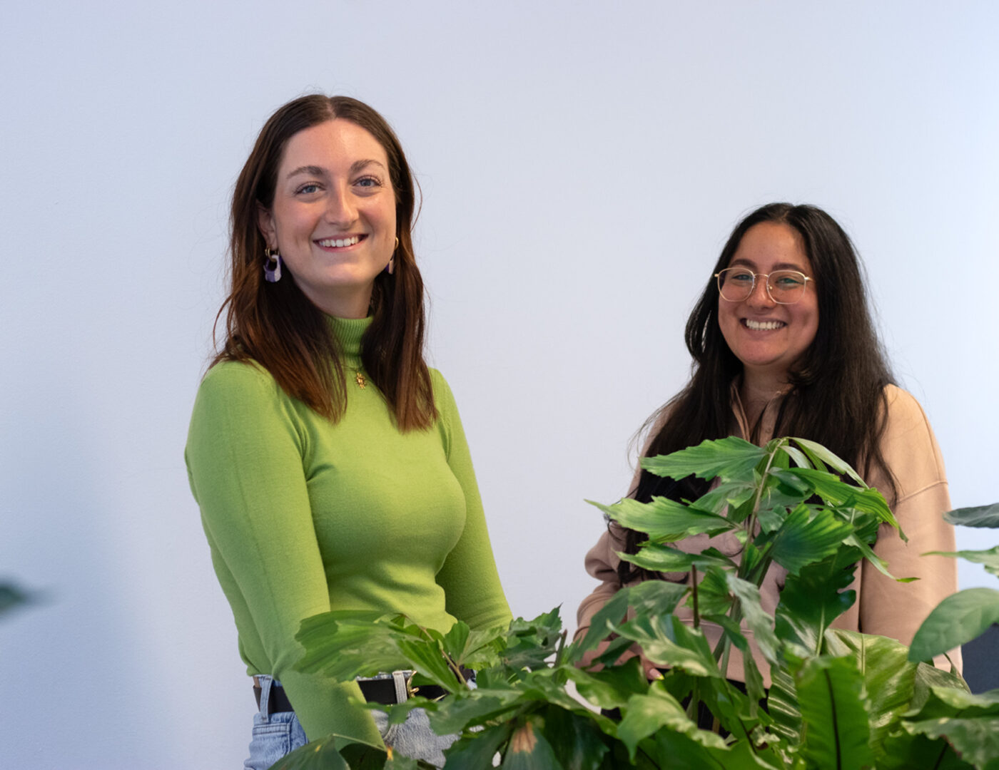 Ivy online marketing vacature