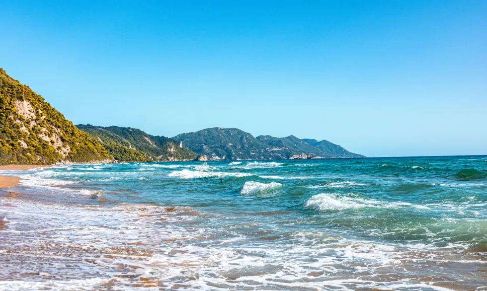 Ivy Digital Marketing zee