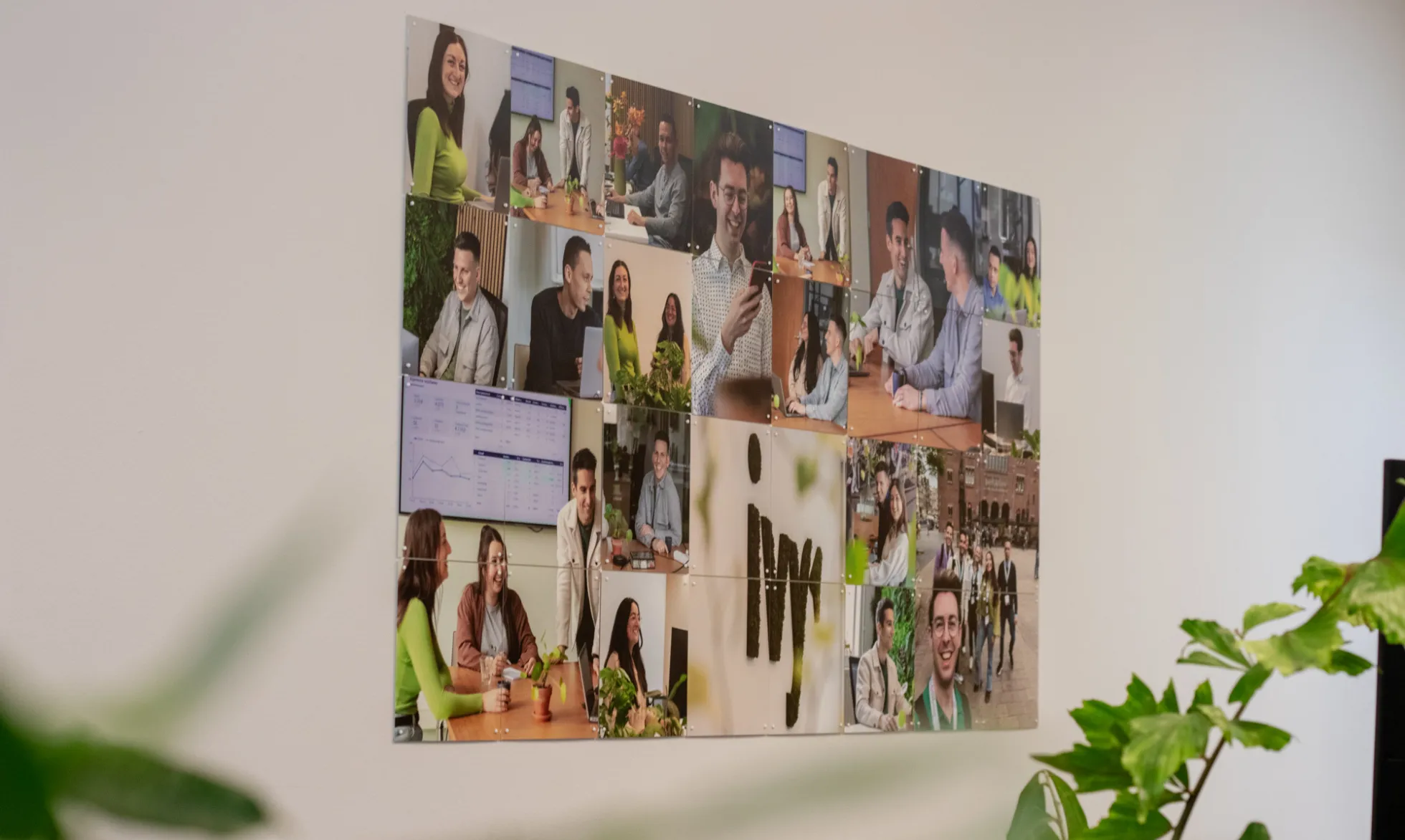 Ivy Digital Marketing team