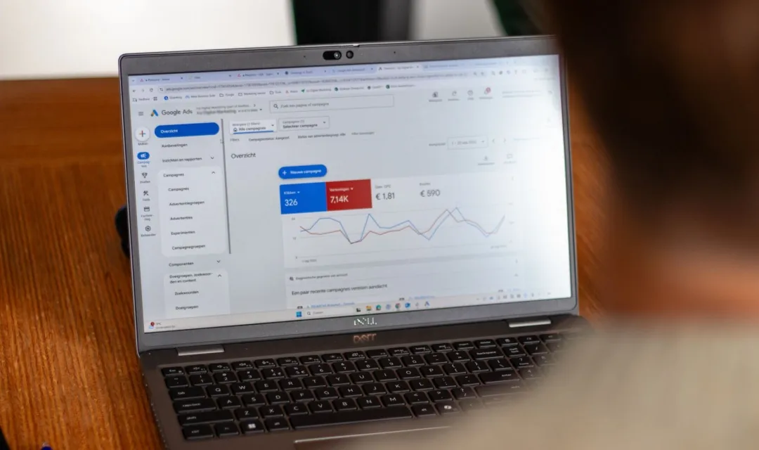 Ivy Digital Marketing analyse