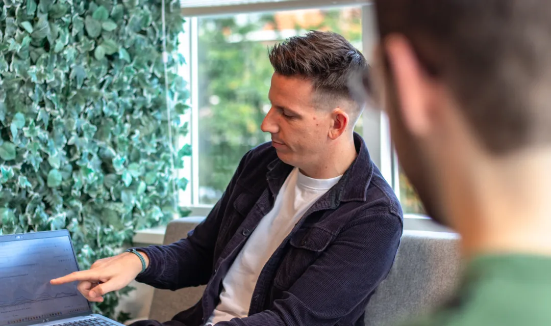 Ivy Digital Marketing data