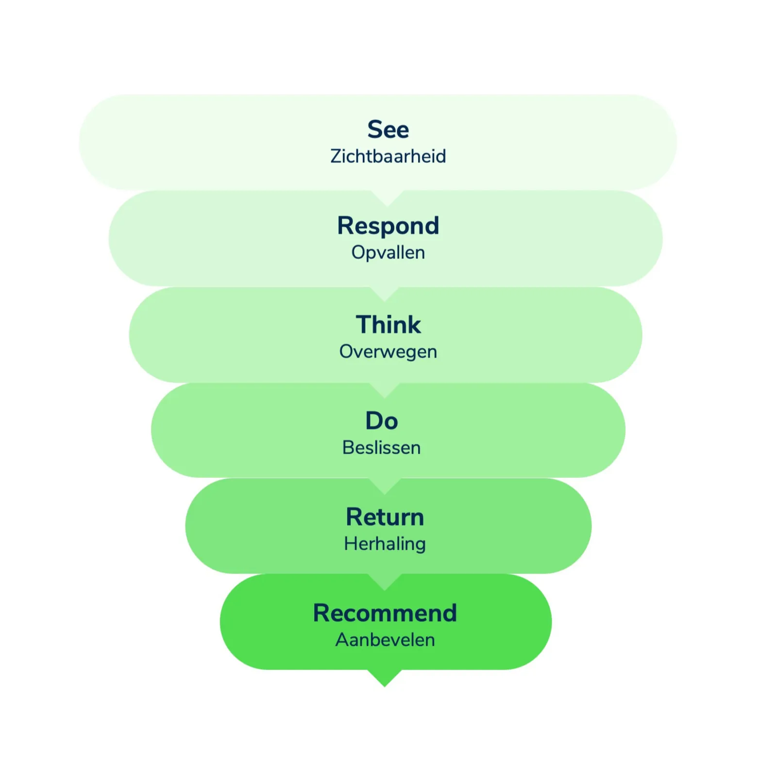 See Think Do Care framework